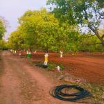 ECR Marakkanam Farm Land