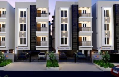 MP Developers Petals