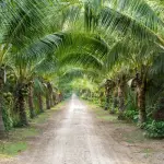 Whispering Pines Lodge