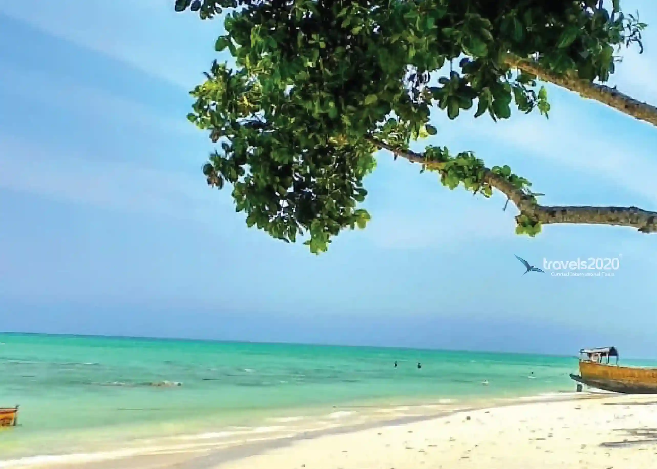 Andaman Escape – Port Blair & Havelock Island Adventure