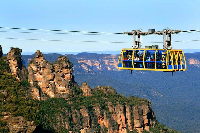 Australian East Coaster